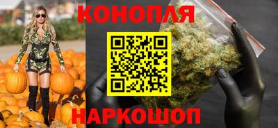 гашик Нальчик
