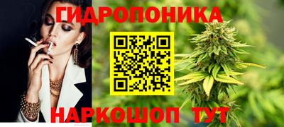 гашик Нальчик