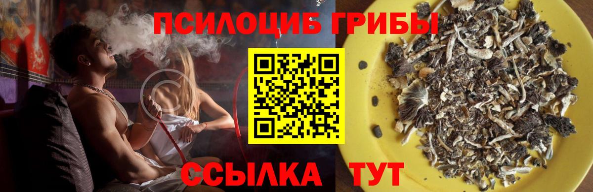 Галлюциногенные грибы ЛСД  Вход с VPN  Тихвин 
